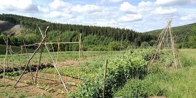 Paysage