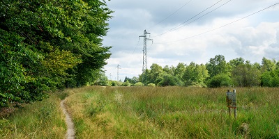 Landscap met pyloon