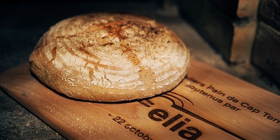 Bread