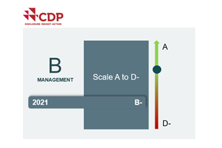 Echelle de notation CDP